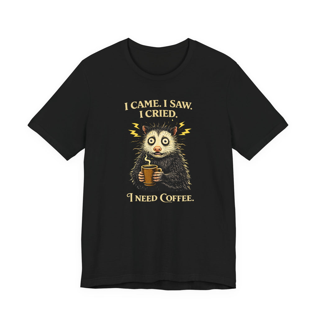 I Came. I Saw. I Cried T-Shirt