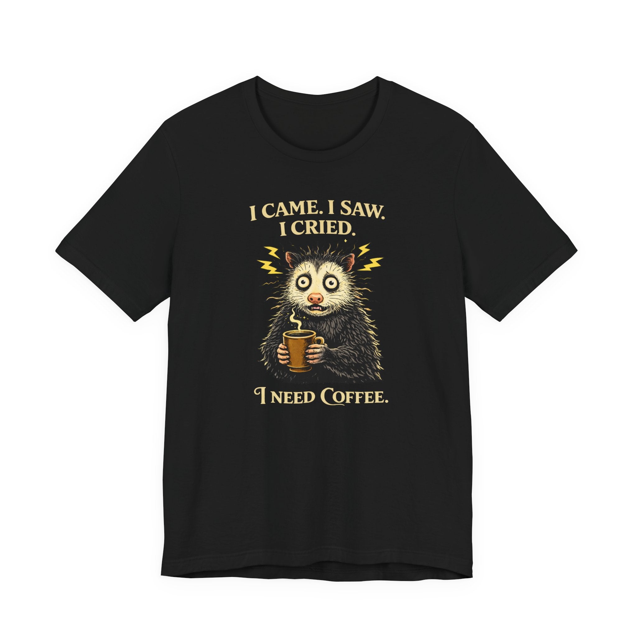I Came. I Saw. I Cried T-Shirt