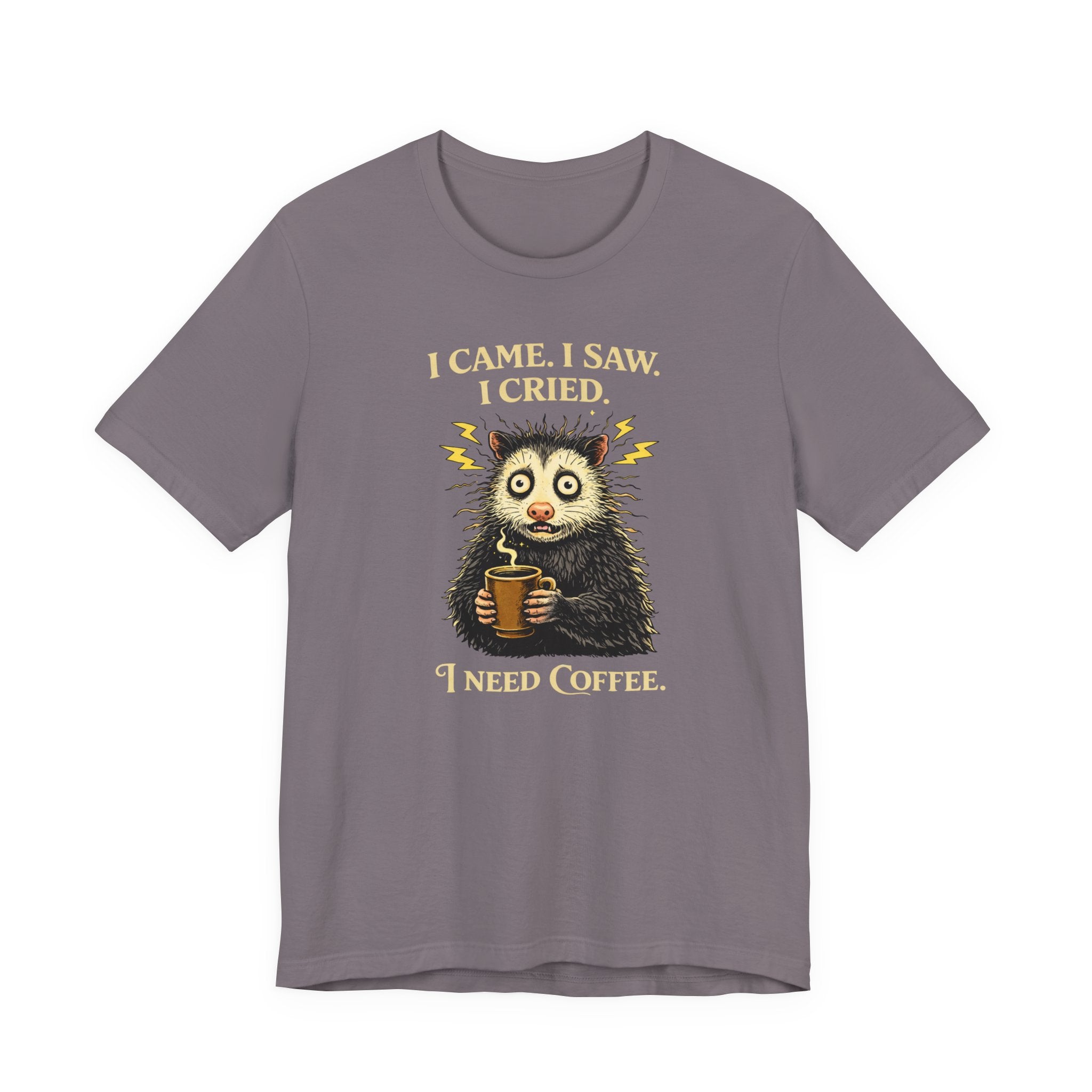 I Came. I Saw. I Cried T-Shirt